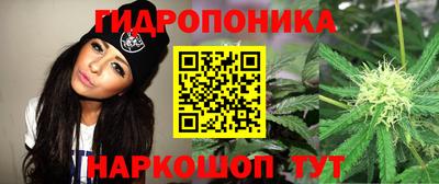 mdpv Партизанск